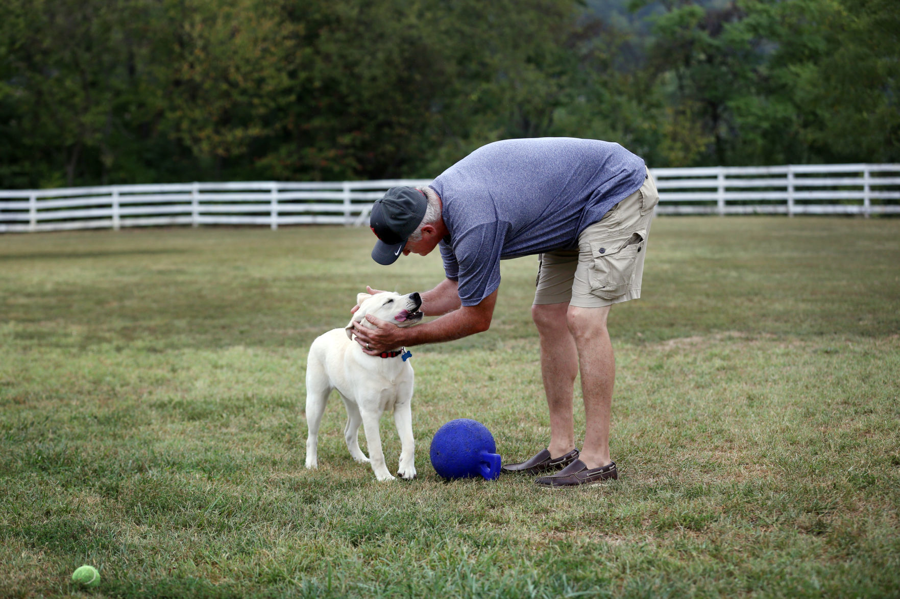 St. Francis Service Dogs